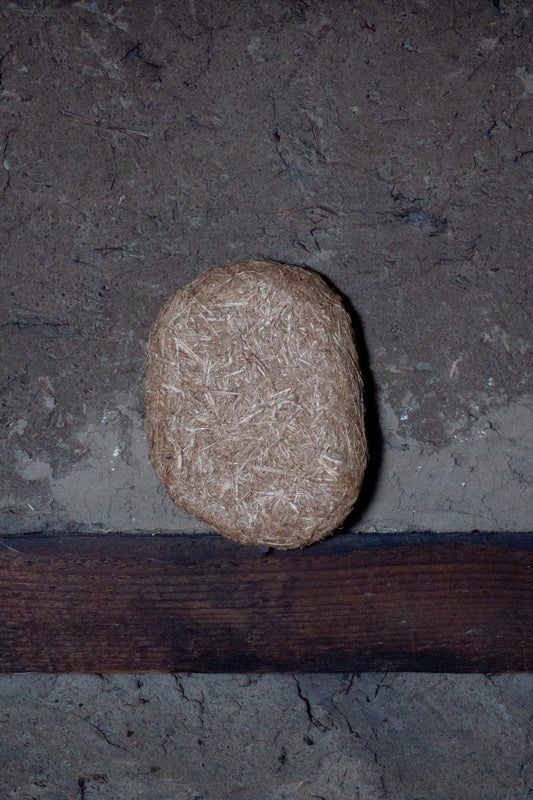 COCORO - 03