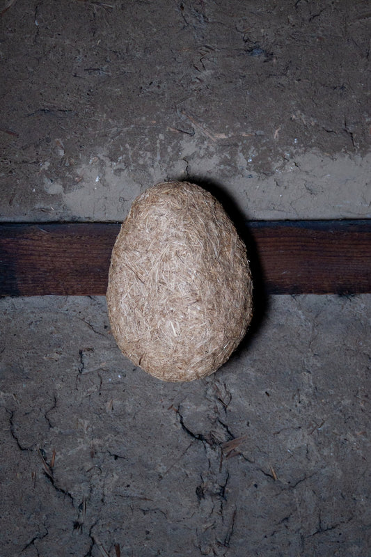 COCORO - 02