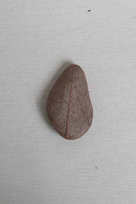 COCORO - 15