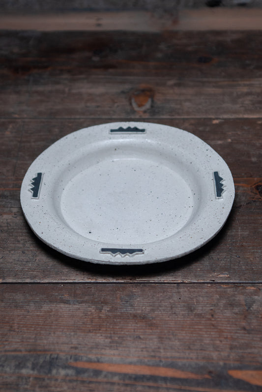 EYE PLATE